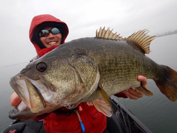 hideup 永野総一朗 ブログ写真 2018/01/17