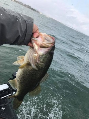 hideup 永野総一朗 ブログ写真 2018/02/08