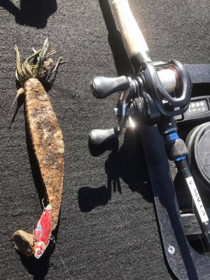 hideup 永野総一朗 ブログ写真 2018/02/15