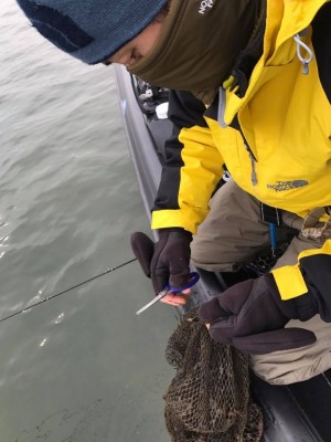 hideup 永野総一朗 ブログ写真 2018/02/21