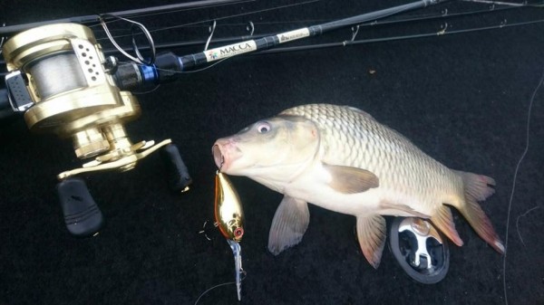 hideup 永野総一朗 ブログ写真 2018/02/21