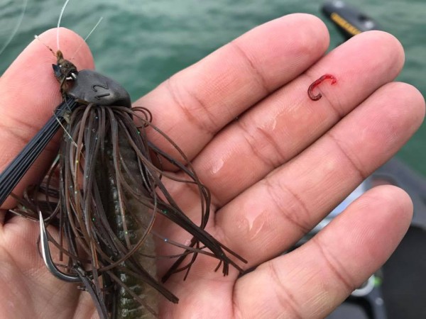 hideup 永野総一朗 ブログ写真 2018/02/25