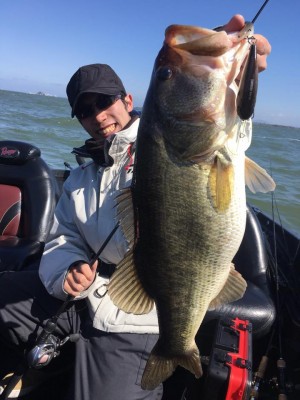 hideup 永野総一朗 ブログ写真 2018/03/07