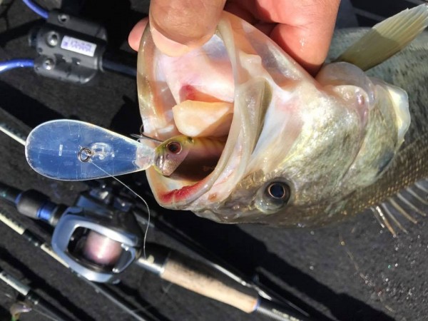 hideup 永野総一朗 ブログ写真 2018/03/07