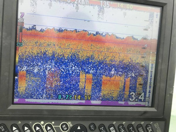 hideup 永野総一朗 ブログ写真 2018/03/08
