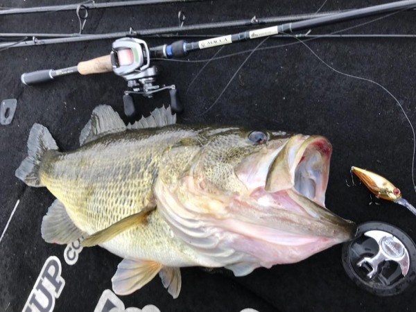 hideup 永野総一朗 ブログ写真 2018/03/09