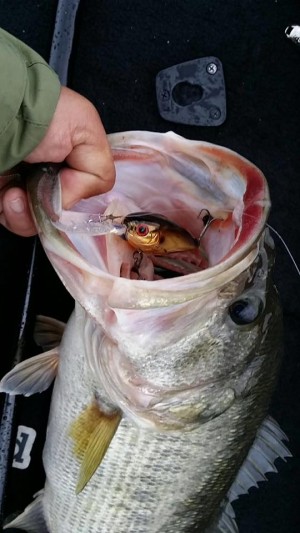 hideup 永野総一朗 ブログ写真 2018/03/16