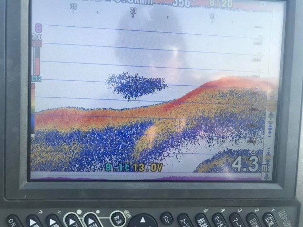 hideup 永野総一朗 ブログ写真 2018/03/16