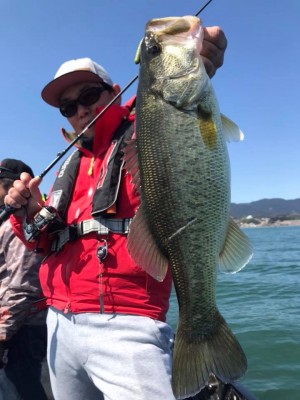 hideup 永野総一朗 ブログ写真 2018/03/18