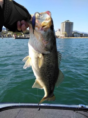 hideup 永野総一朗 ブログ写真 2018/03/18