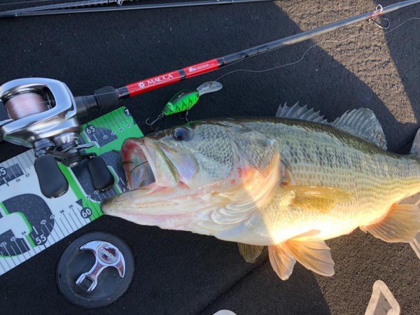 hideup 永野総一朗 ブログ写真 2018/03/18