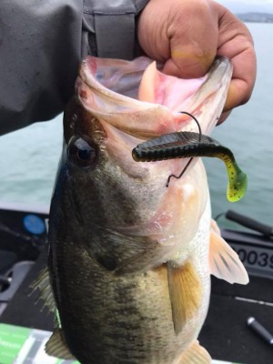 hideup 永野総一朗 ブログ写真 2018/03/20