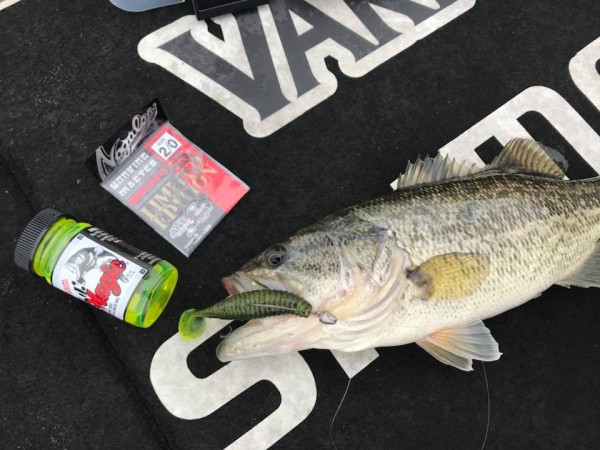 hideup 永野総一朗 ブログ写真 2018/03/20