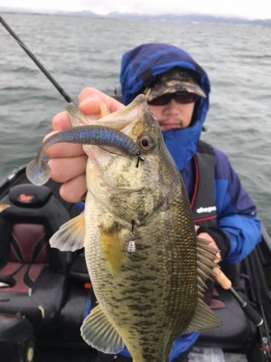 hideup 永野総一朗 ブログ写真 2018/03/21