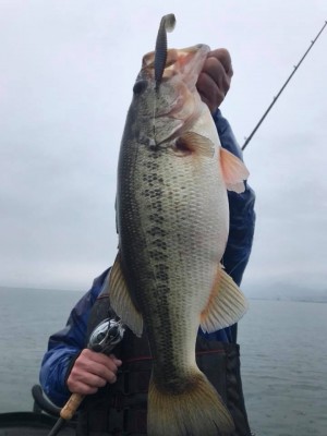 hideup 永野総一朗 ブログ写真 2018/03/21