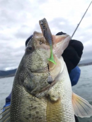 hideup 永野総一朗 ブログ写真 2018/03/21