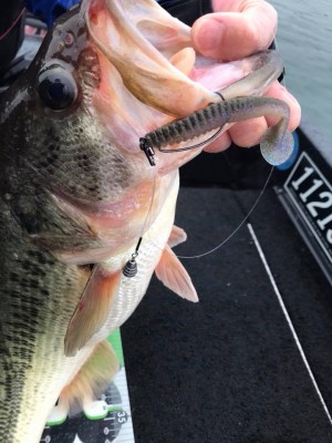 hideup 永野総一朗 ブログ写真 2018/03/21