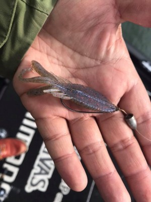 hideup 永野総一朗 ブログ写真 2018/03/22