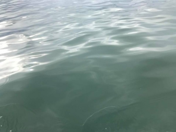 hideup 永野総一朗 ブログ写真 2018/03/22