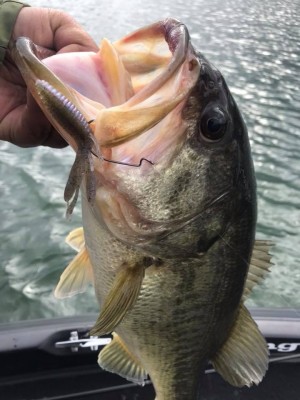 hideup 永野総一朗 ブログ写真 2018/03/22