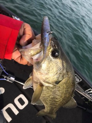 hideup 永野総一朗 ブログ写真 2018/04/03