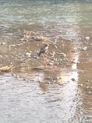 hideup 永野総一朗 ブログ写真 2018/04/03