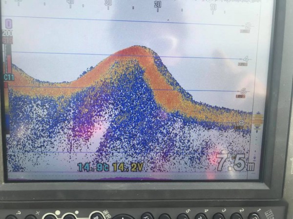 hideup 永野総一朗 ブログ写真 2018/04/03