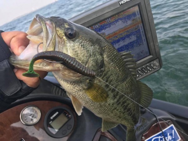 hideup 永野総一朗 ブログ写真 2018/04/04