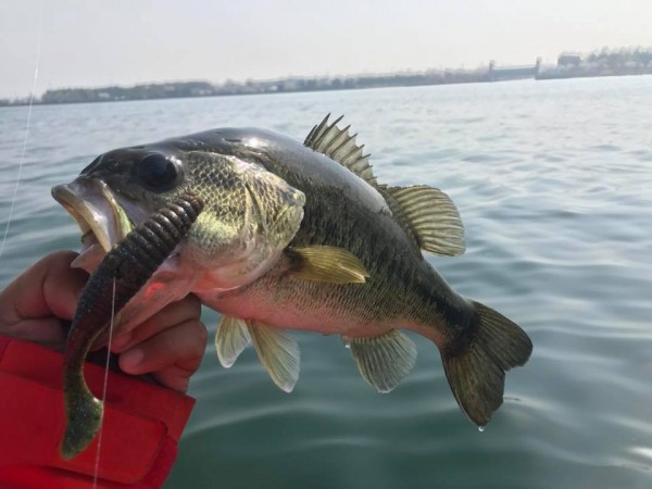 hideup 永野総一朗 ブログ写真 2018/04/05