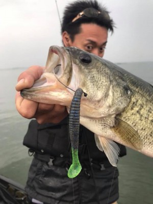 hideup 永野総一朗 ブログ写真 2018/04/05