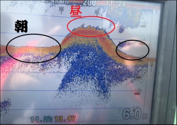 hideup 永野総一朗 ブログ写真 2018/04/06