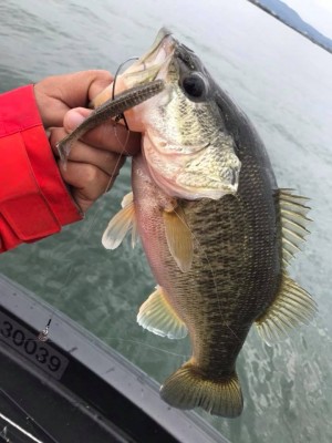 hideup 永野総一朗 ブログ写真 2018/04/06