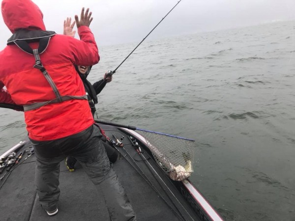 hideup 永野総一朗 ブログ写真 2018/04/08