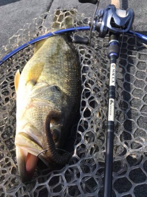 hideup 永野総一朗 ブログ写真 2018/04/10