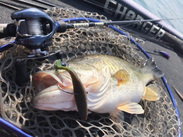 hideup 永野総一朗 ブログ写真 2018/04/10