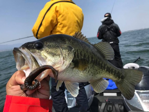 hideup 永野総一朗 ブログ写真 2018/04/10