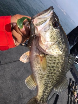 hideup 永野総一朗 ブログ写真 2018/04/10