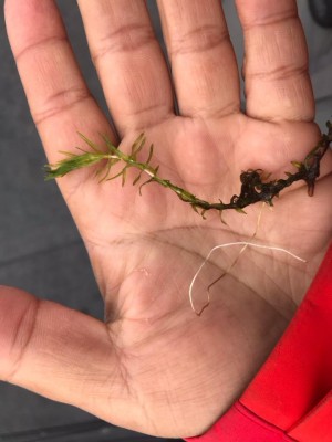 hideup 永野総一朗 ブログ写真 2018/04/12