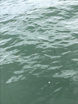 hideup 永野総一朗 ブログ写真 2018/05/03