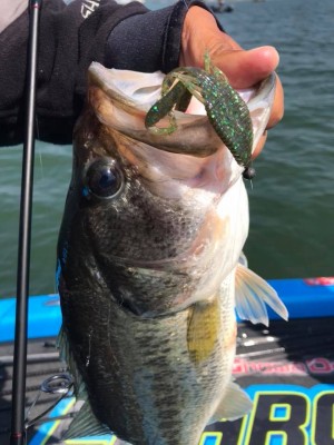 hideup 永野総一朗 ブログ写真 2018/05/03