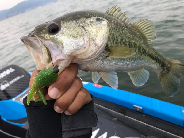 hideup 永野総一朗 ブログ写真 2018/05/03