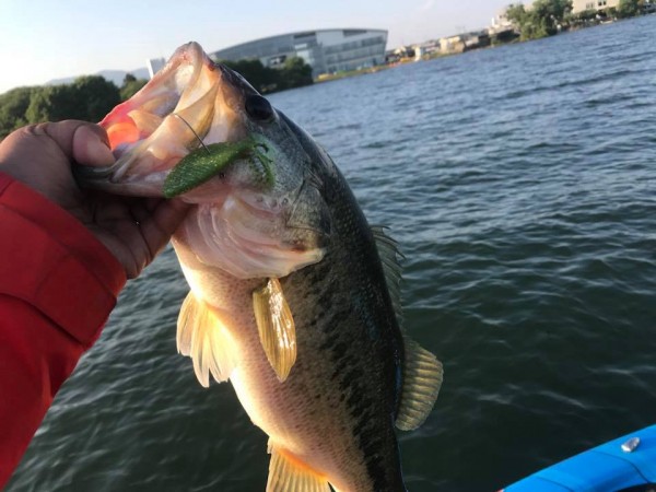 hideup 永野総一朗 ブログ写真 2018/05/05