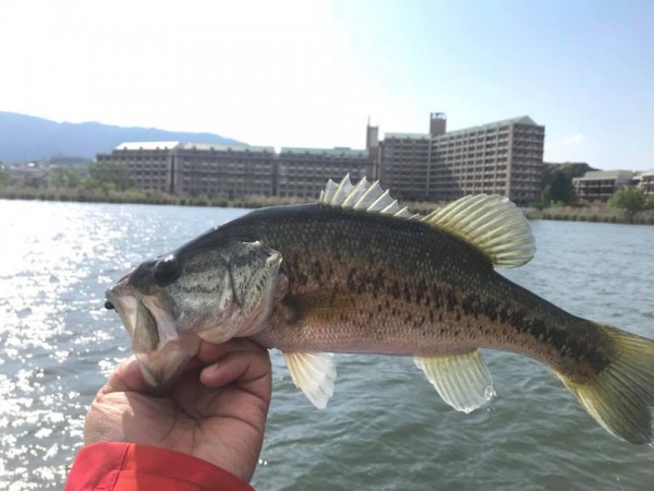 hideup 永野総一朗 ブログ写真 2018/05/05