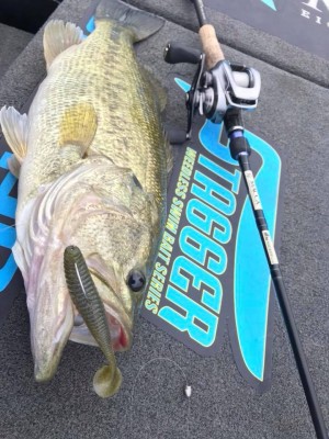 hideup 永野総一朗 ブログ写真 2018/05/08