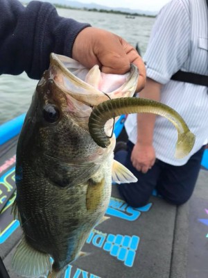 hideup 永野総一朗 ブログ写真 2018/05/08