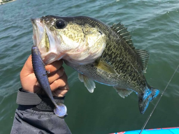 hideup 永野総一朗 ブログ写真 2018/05/08