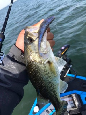 hideup 永野総一朗 ブログ写真 2018/05/08