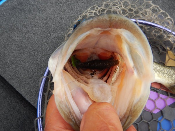 hideup 永野総一朗 ブログ写真 2018/05/10