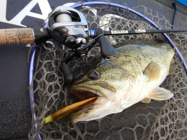 hideup 永野総一朗 ブログ写真 2018/05/10