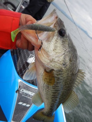 hideup 永野総一朗 ブログ写真 2018/05/10